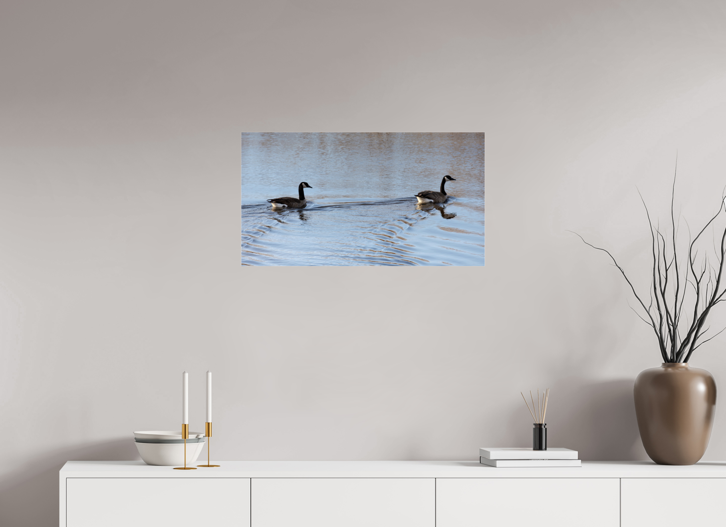 29.1 x 16″, Photo Print Under Acrylic Glass Duck Duo