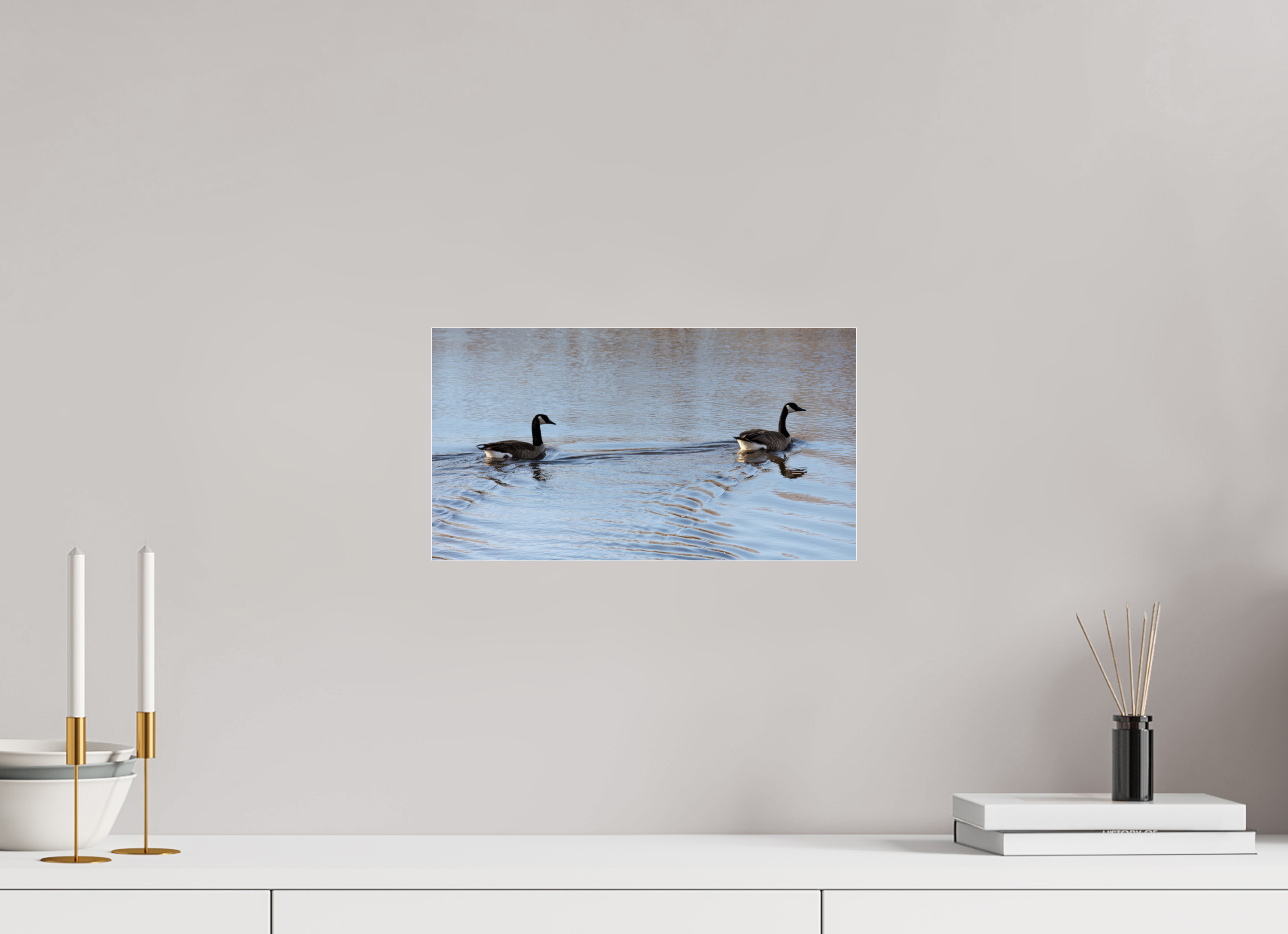 14.6 x 8″, Photo Print Under Acrylic Glass Duck Duo