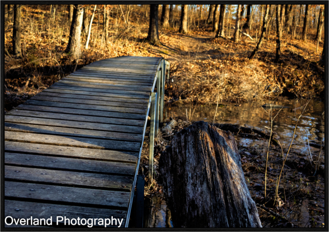 Main image Trail Bridge