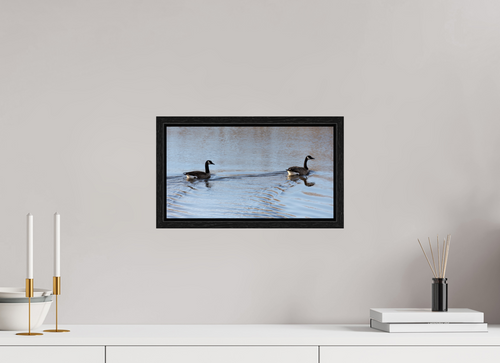 14.6 x 8″, Floater Frame Duck Duo