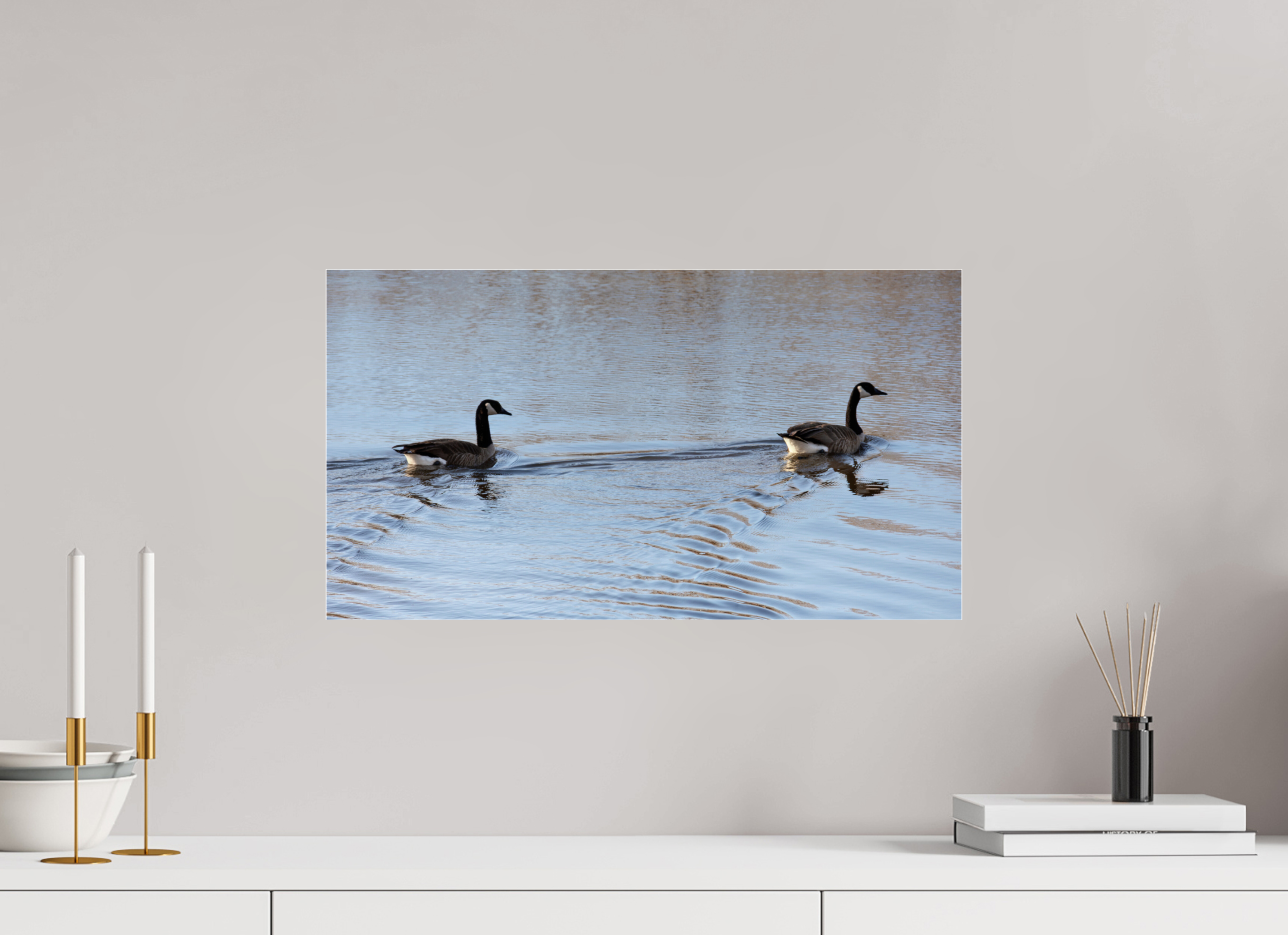 21.8 x 12″, Photo Print Under Acrylic Glass Duck Duo